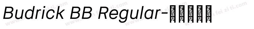 Budrick BB Regular字体转换